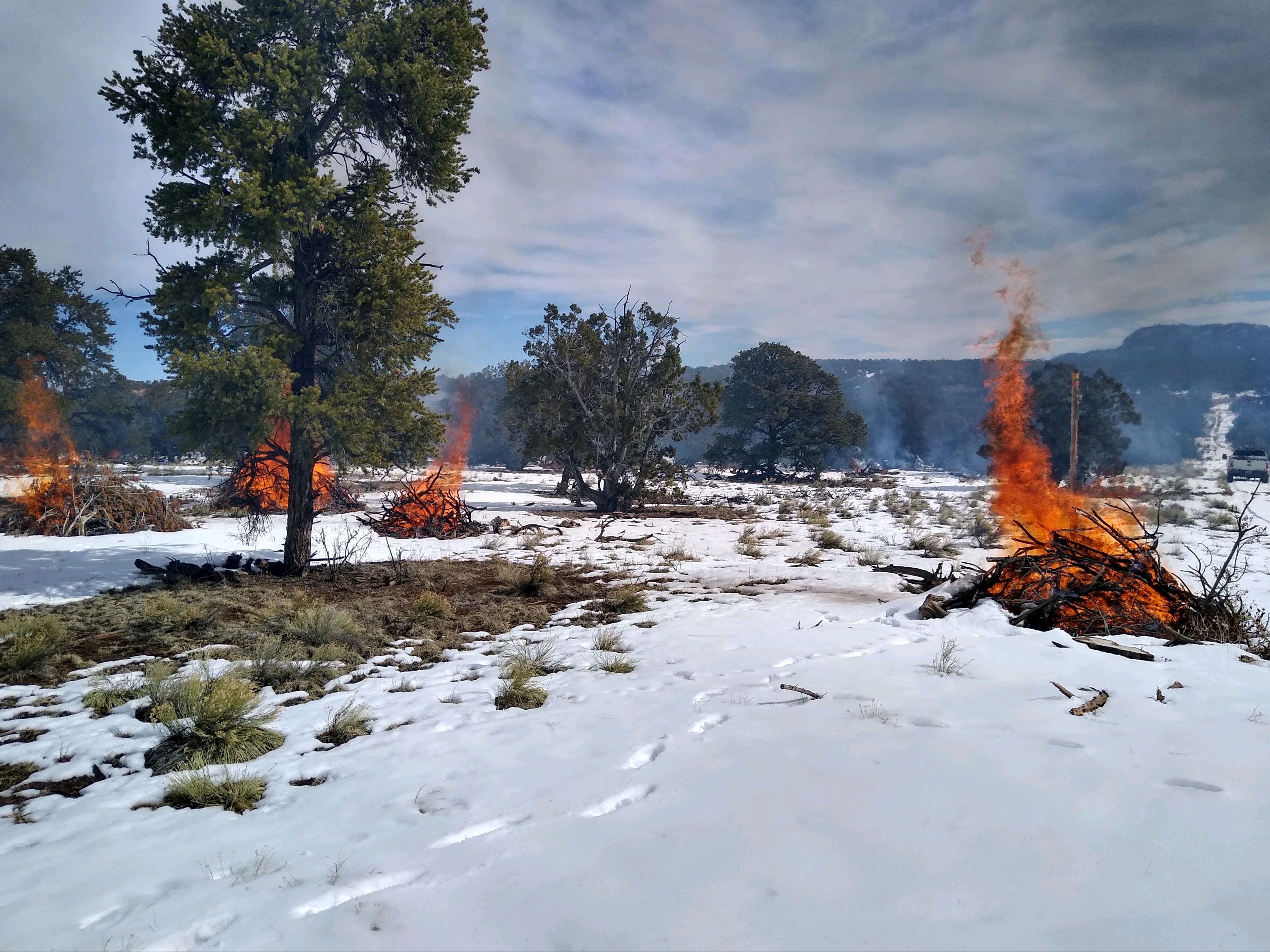BLM plans pile burns in Catron County Bureau of Land Management